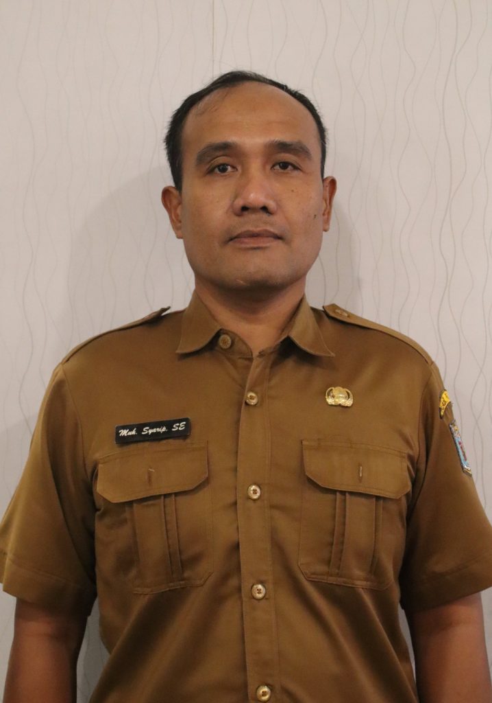 Irban Khusus